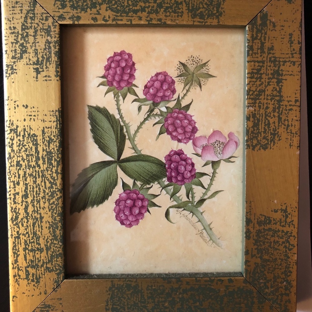 Grapevine Drawing Wall Art
